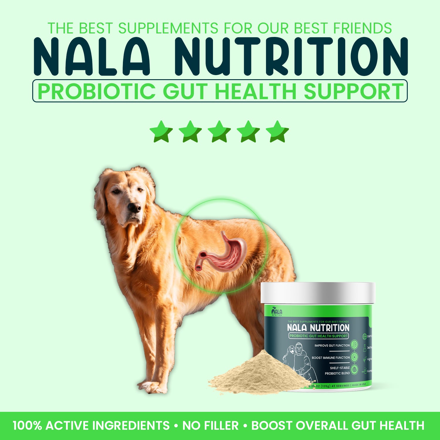 Advanced Probiotic Gut Support